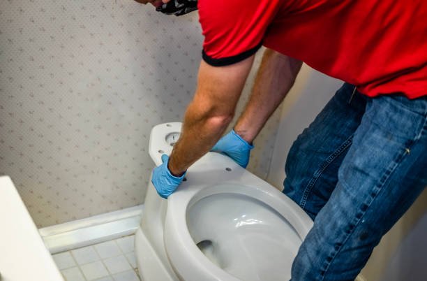 Toilet bowl and seat in a bathroom